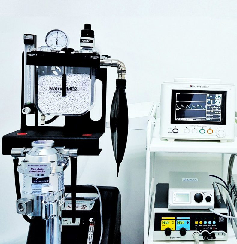 Anestezie-Inhalatorie-Centrul-Veterinar-Domenii-e1539212037225