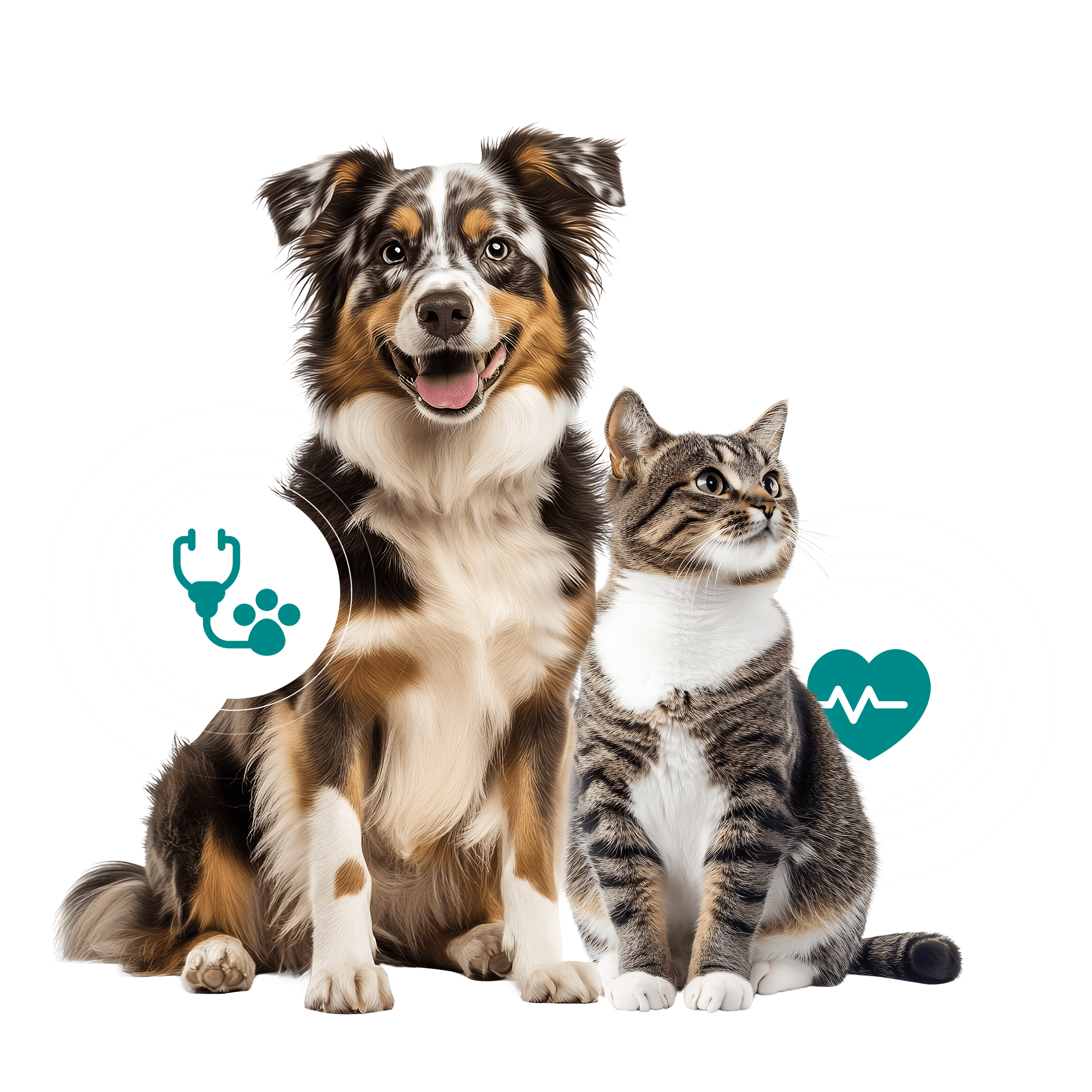 Despre Noi Homepage-min