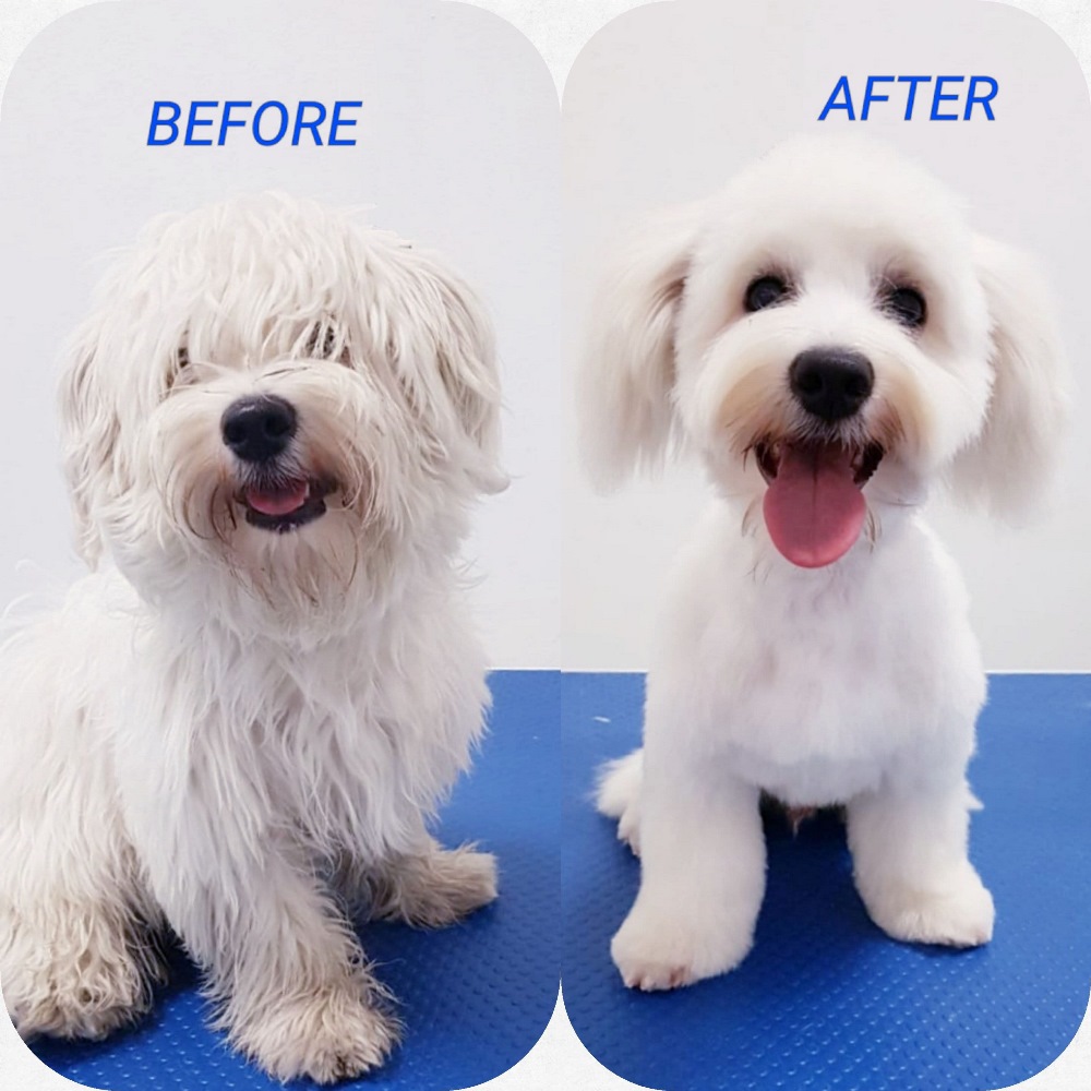 processed by AtomJPEG 1.5.0n