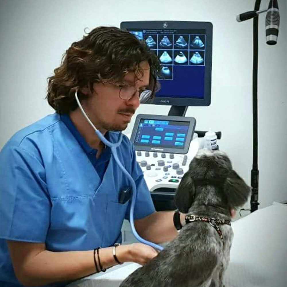 echipa-medicala-calificata