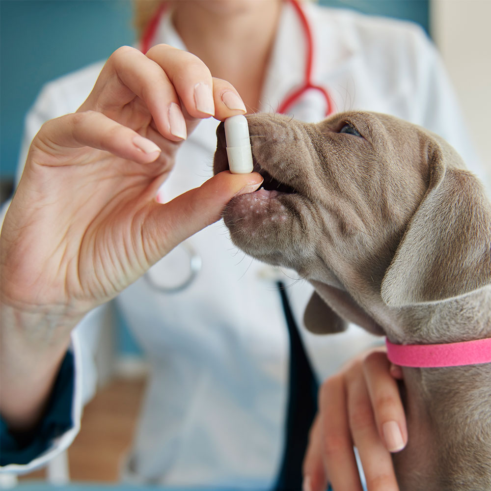 tratamente-personalizabile